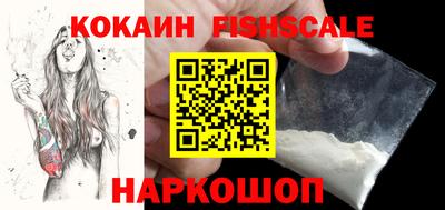 индика Гатчина