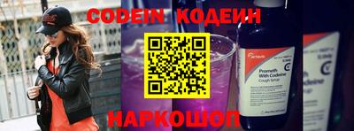 индика Гатчина