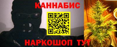 индика Гатчина