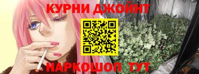 индика Гатчина