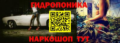 индика Гатчина