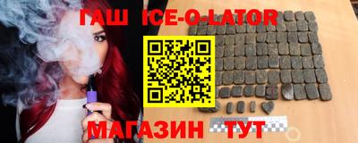 индика Гатчина