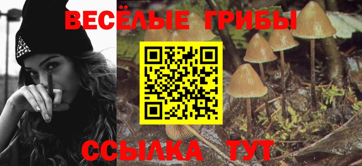 Псилоцибиновые грибы MAGIC MUSHROOMS Горно-Алтайск